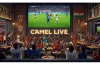 कैमल लाइव: भारत में फुटबॉल प्रशंसकों का अंतिम पड़ाव