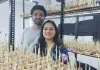 वडोदरा : एरोपोनिक तकनीक से वडोदरा में उगाया कश्मीरी केसर, दंपति सम्मानित