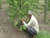राजकोट: खेतों में ये लगाकर इस किसान ने सुरक्षित किया अपना भविष्य