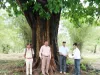 गुजरात  :  केवड़ी के वन विभाग ने सदियों पुराने पेड़ों को संरक्षित किया