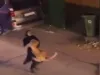 कुवैत : गोद में शेर को दबोचे चल रही महिला को देखकर हर कोई है हैरान, वायरल हुआ वीडियो
