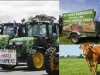 न्यूजीलैंड : गाय के डकार और पाद पर टैक्स लगाने वाले कानून का किसान कर रहे हैं जमकर विरोध
