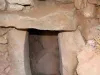 विश्व : तुर्की में एक प्राचीन किले की खुदाई के दौरान मिला मंदिर