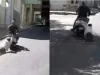 बेंगलुरु : सोशल मीडिया पर वायरल हो रहे इस वीडियो को देखकर कांप उठेंगे आप, स्कूटी सवार युवक ने लगभग एक किलोमीटर तक एक बुजुर्ग को घसीटा