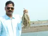 विशेष खबर: आंध्र प्रदेश की चुनावी बयार में गुजरात के झींगा उत्पादक किसानों की उम्मीदों पर पानी