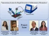 आईआईटी जोधपुर के शोधकर्ताओं ने बनाया नैनो सेंसर, सूजन और जलन संबंधित बायोमार्कर को पहचानने में मिलेगी मदद