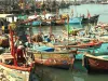 श्रीलंका में हिरासत में लिए गए 24 भारतीय मछुआरे रिहा