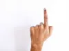मतदान के दौरान आपकी उंगली पर लगाई जाने वाली स्याही की बूंद की कीमत होती है 12.7 रुपये