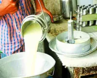 भारत विश्व में दूध का सबसे बड़ा उत्पादक, 9 साल में दूध उत्पादन 61 प्रतिशत बढ़ा