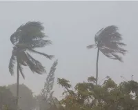 पश्चिम बंगाल: आंधी-तूफान और बारिश में 9 लोगों की जान गई, कहीं बिजली के तार तो कहीं पेड़ बने काल