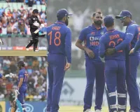 क्रिकेट : भारतीय गेंदबाजों के सामने पानी भरते नजर आए न्यूजीलैंड के बल्लेबाज, भारत की आसान जीत