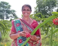 सूरत : अदानी फाउंडेशन की पहल महिला किसानों को आय और पहचान दिलाती है