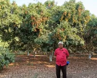 लीची की बागवानी से 'शाही' जीवन जी रहे पुलिस अधिकारी राजाशंकर