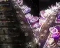 राजकोट :  ड्रोन कैमरे में कैद हुआ रसरंग मेले का खूबसूरत नजारा 