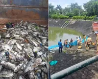 सूरत : हजारों मछलियों की मौत! बदबू फैलने से स्थानीय लोग नाराज