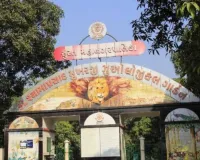 सूरत : दिवाली की छुट्टियों में सरथाना नेचर पार्क में पर्यटकों की बम्पर भीड़, पाँच दिनों में ₹3.20 लाख की कमाई