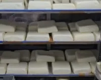 सूरत : सुरभि डेयरी में नकली पनीर का भंडाफोड़ , रोज़ाना 200 किलो नकली पनीर खा रहे थे सूरतवासी