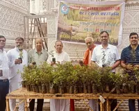 सूरत : देवउठनी एकादशी पर बैटर टुमारो फाउंडेशन द्वारा 500 तुलसी पौधों का वितरण