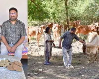 वडोदरा : नेचुरल खेती और गौ-पालन से आत्मनिर्भरता की मिसाल बना समियाला का दंपति