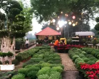 बढ़ते प्रदूषण के बीच पर्यावरण हितैषी पौधों पर ग्रीनवेज नर्सरी दे रही है भारी छूट