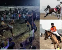 सूरत : अडाजन रिवरफ्रंट पर ‘7वां तापी हॉर्स शो-2026’ संपन्न, 1.20 लाख से अधिक लोगों ने लिया हॉर्स कल्चर का आनंद