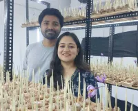 वडोदरा : एरोपोनिक तकनीक से वडोदरा में उगाया कश्मीरी केसर, दंपति सम्मानित