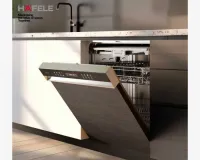 वाइब्रेंट इंट्यूटिव डिस्प्ले के साथ हाफले वैलेरिया बनाए बर्तन सफाई को आसान और स्मार्ट