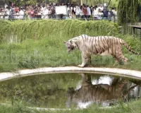 सूरत : सरथाना नेचर पार्क में रिकॉर्ड 9.5 लाख विज़िटर, निगम की आय ₹2.57 करोड़ पहुंची