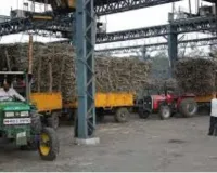 सूरत : दक्षिण गुजरात की शुगर मिलों ने बढ़ाए गन्ने के दाम, चलथान शुगर ने किया सबसे बड़ा इजाफा