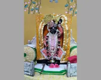 सूरत : श्री गोवर्धननाथजी की हवेली का 31वां पाटोत्सव शनिवार को