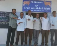 राजकोट : जामकंडोरना में मतदाता जागरूकता का अनोखा अभियान, मिल्क सोसाइटियों ने दिलाई ‘निर्भय मतदान’ की शपथ