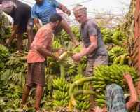 सूरत : मिडिल ईस्ट तनाव का असर: सूरत के फ्रूट मार्केट में संकट, इंपोर्ट-एक्सपोर्ट ठप