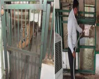 सूरत : सरथाना नेचर पार्क में जानवरों को गर्मी से बचाने के विशेष इंतज़ाम