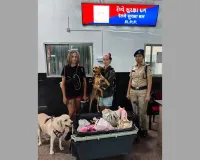 वडोदरा : रेल सुरक्षा बल की ईमानदारी और तत्परता से विदेशी यात्री के चेहरे पर लौटी मुस्कान