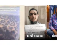 सूरत : तेंदुए की खाल का एक करोड़ रुपये में सौदा तय, DRI और वन विभाग की संयुक्त कार्रवाई में रैकेट का पर्दाफाश