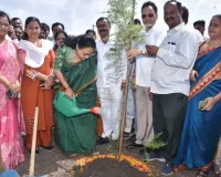 सूरत : विश्व पर्यावरण दिवस पर भेस्तान में विकसित शहरी वन में 8,000 पौधों का रोपण