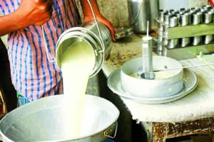 पाकिस्तान : महंगाई से तोड़ी आम जनता की कमर, 210 रुपये प्रति लीटर बिक रहा दूध, अन्य दैनिक जरूरतों के सामान भी हुए महंगे