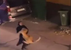 कुवैत : गोद में शेर को दबोचे चल रही महिला को देखकर हर कोई है हैरान, वायरल हुआ वीडियो