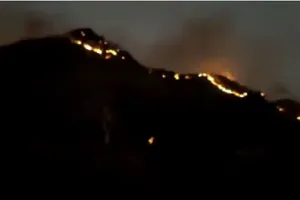 अमरेली : दो दिन से जल रहा है शेरों का घर, वन विभाग भी लाचार नजर आ रहा