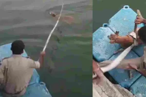 अहमदाबाद पुलिसकर्मी ने दिखाई बहादुरी, अपनी जान जोखिम में डालकर बचाई नदी में डूब रहे कुत्ते की जान