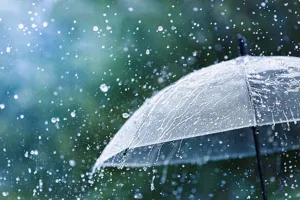 गुजरात : तूफान के कारण कच्छ, द्वारका, पोरबंदर, गिर सोमनाथ में तेज बारिश शुरू