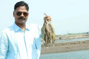 विशेष खबर: आंध्र प्रदेश की चुनावी बयार में गुजरात के झींगा उत्पादक किसानों की उम्मीदों पर पानी
