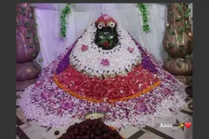 प्रत्येक दिन फूल और बेलपत्र से बनाई जाती है मां दुर्गा की प्रतिमा
