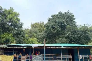 बांग्लादेश-म्यांमार सीमा पर तनाव में कमी, बंदरबन में कल से खुलेंगे पांच प्राइमरी स्कूल