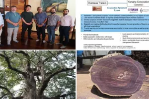 Yamaha ने Overseas Traders के साथ मिलकर भारतीय रोज़वुड के टिकाऊ वन संरक्षण को बढ़ावा दिया