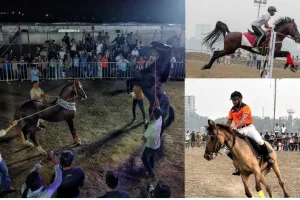 सूरत : अडाजन रिवरफ्रंट पर ‘7वां तापी हॉर्स शो-2026’ संपन्न, 1.20 लाख से अधिक लोगों ने लिया हॉर्स कल्चर का आनंद