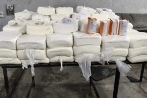 सूरत : पांडेसरा में संदिग्ध पनीर फैक्ट्री पर छापा, 1.4 टन ‘एनालॉग पनीर’ समेत 28.44 लाख का सामान जब्त