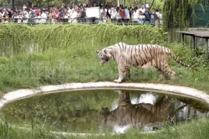 सूरत : सरथाना नेचर पार्क में रिकॉर्ड 9.5 लाख विज़िटर, निगम की आय ₹2.57 करोड़ पहुंची