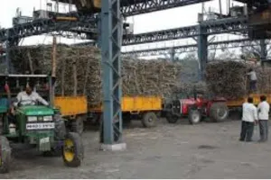 सूरत : दक्षिण गुजरात की शुगर मिलों ने बढ़ाए गन्ने के दाम, चलथान शुगर ने किया सबसे बड़ा इजाफा