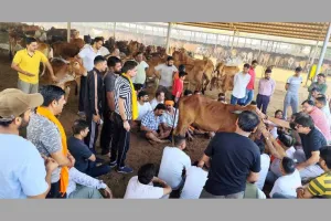 सूरत : गौ सेवा व वृक्षारोपण कर स्व. विक्रम सिंह शेखावत को दी श्रद्धांजलि